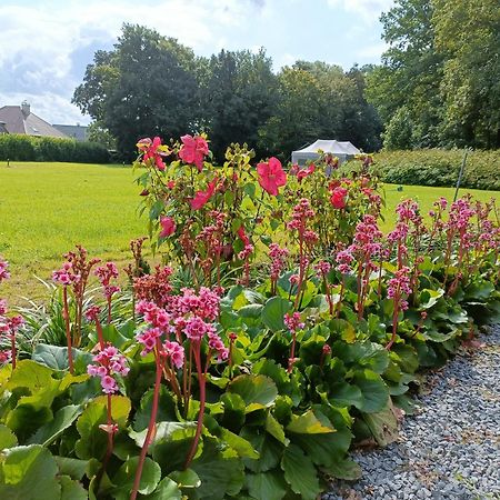 B&B Het Doctershoes Kinrooi Exterior foto